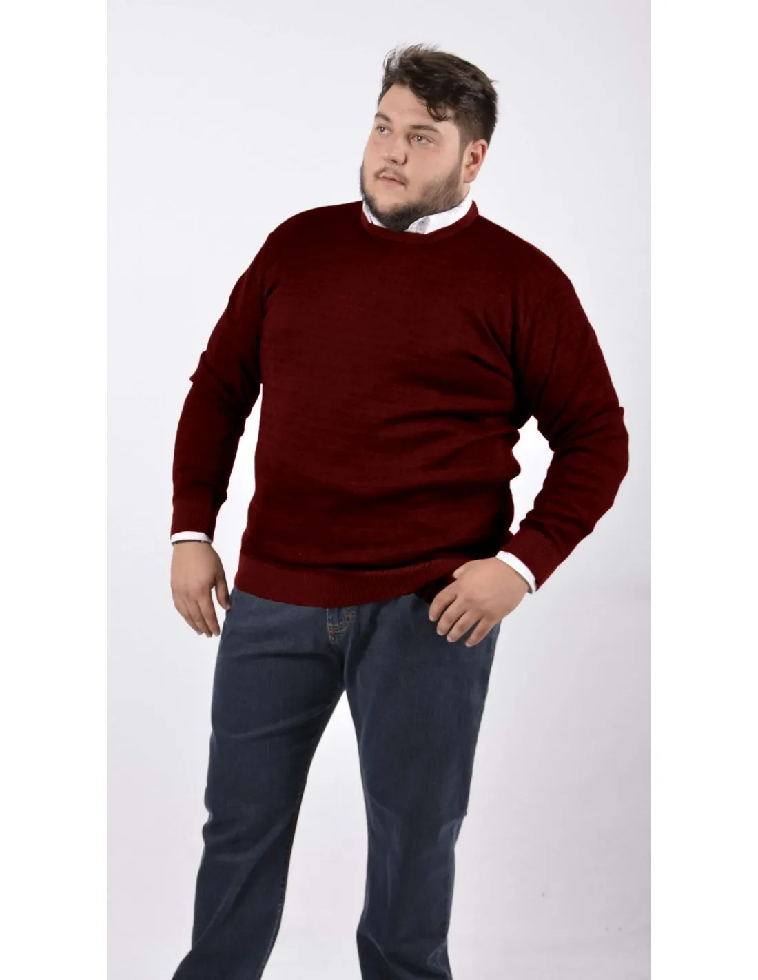 Maglia girocollo ml lana merino bordo taglie forti